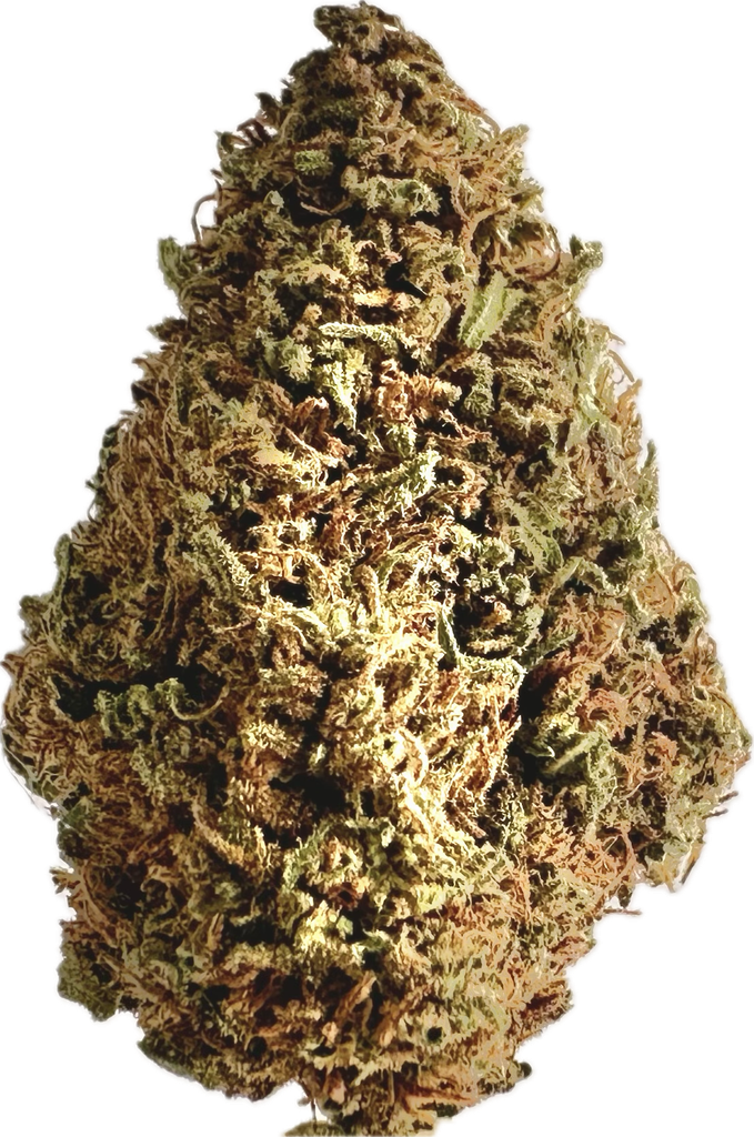 Fleur Cannabis BOTAFLORA Outdoor - Produit en Bretagne