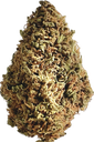 Fleur Cannabis BOTAFLORA Outdoor - Produit en Bretagne